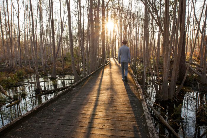 Una persona camina por una pasarela de madera entre árboles, a contraluz del atardecer
