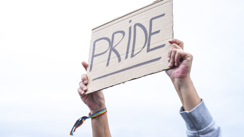 Nuestra recomendación del día es nuestro mayor orgullo